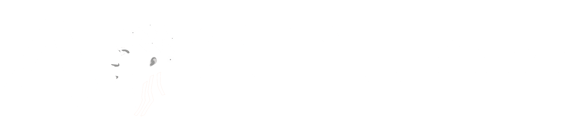 Create a Telegram Bot in Python