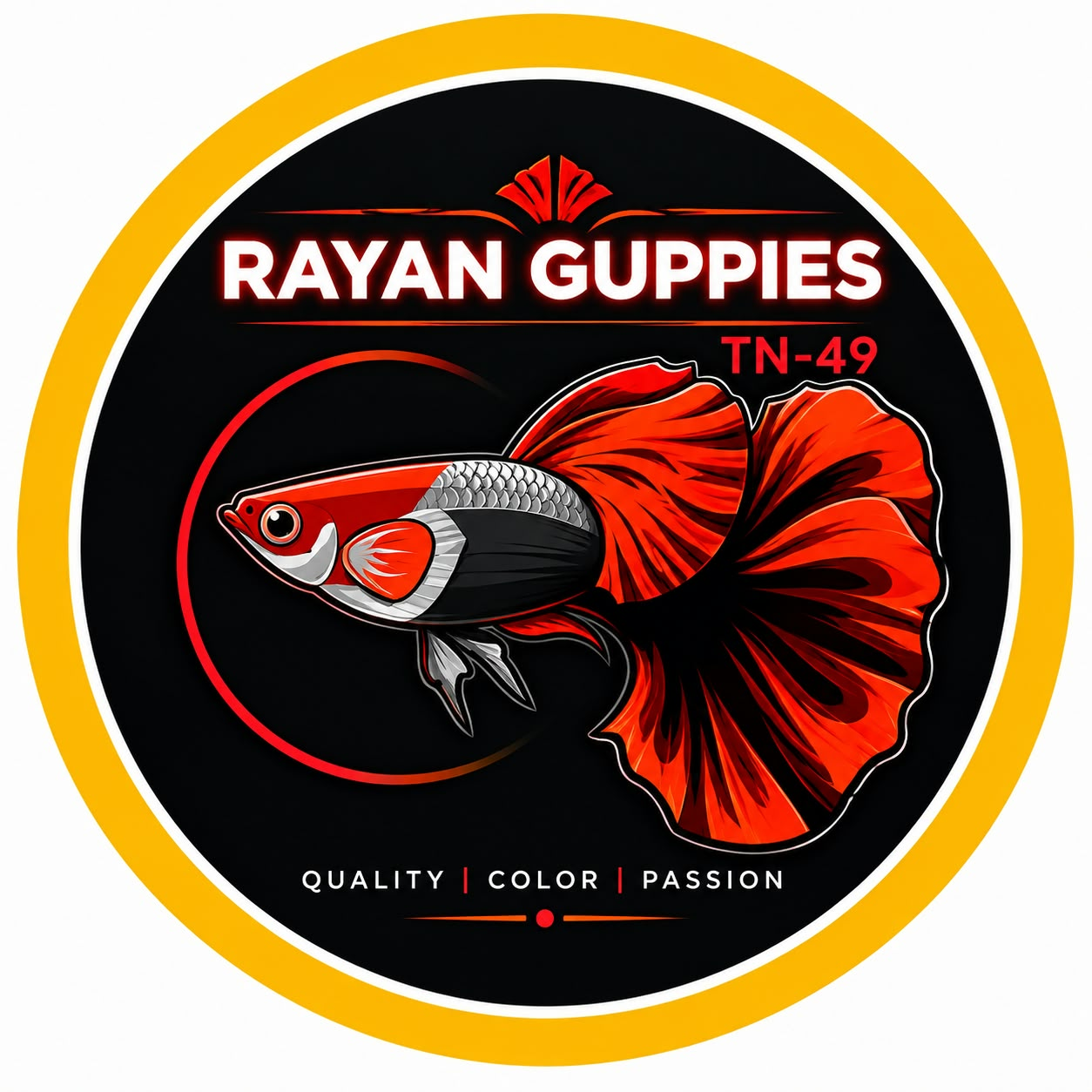 Rayan Guppies